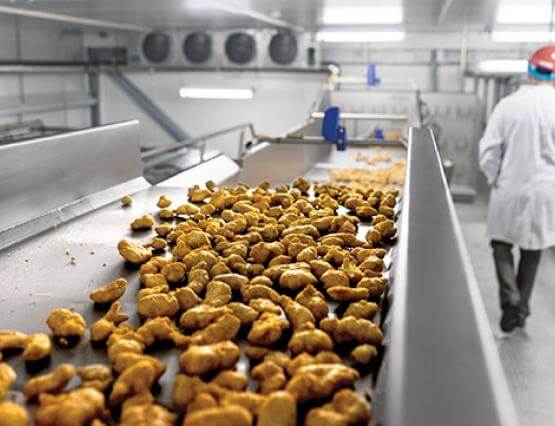 在水平运动传送器的山顶食物家禽