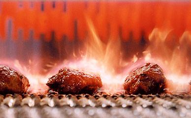 用于烧烤肉类和家禽制品的食品加工生产线足球比分直欧洲杯投注网