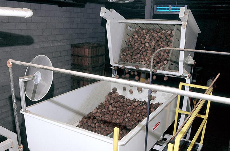 土豆加工计量料斗