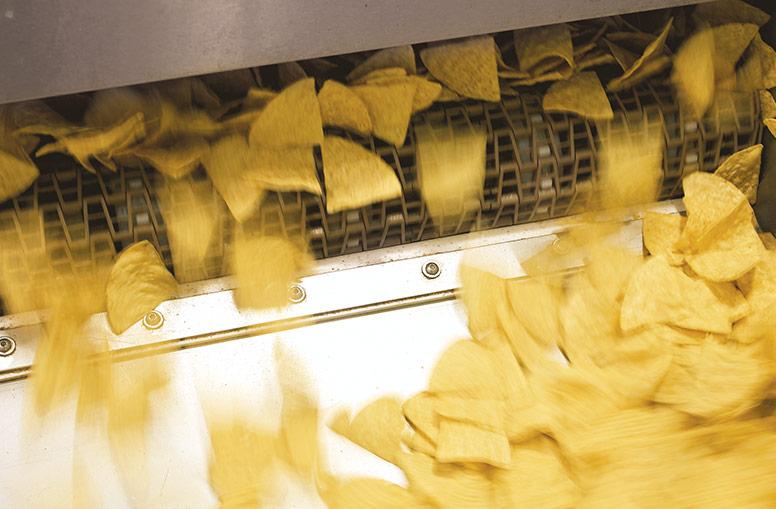 定制设计的玉米片和玉米片煎炸系统